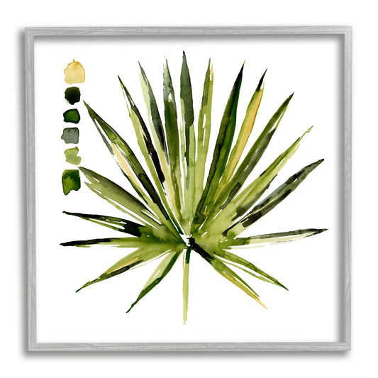 Jennifer Paxton Parker Succulent Aloe Plant Spiky Leaves Abstract Paint Scale 12 in X 12 in Framed Painting Art Print, by Stupell Home Décor